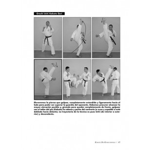 Karate Kyokushinkai (Volumen 2º)